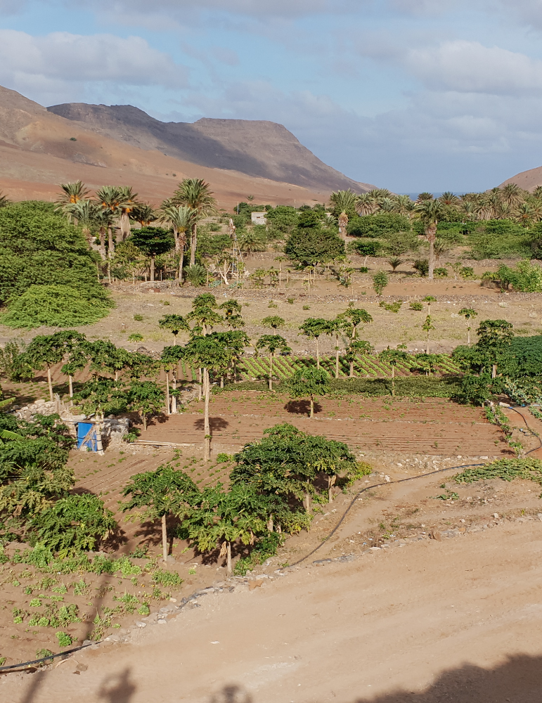 Cap-Vert : Circuit São Vicente & Santo Antão – 2 îles authentiques