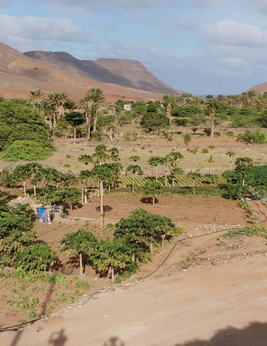 Cap-Vert : Circuit São Vicente & Santo Antão – 2 îles authentiques