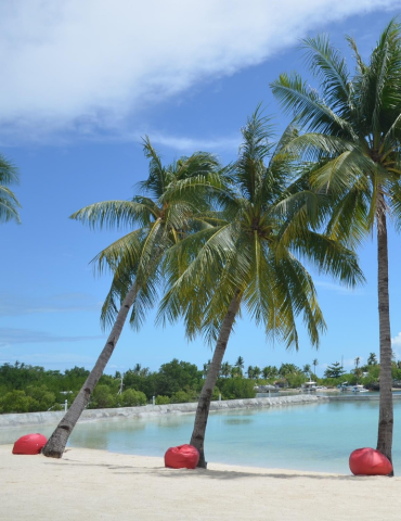 Philippines – Circuit Visayas 11 jours : Cebu, Bohol & Siquijor