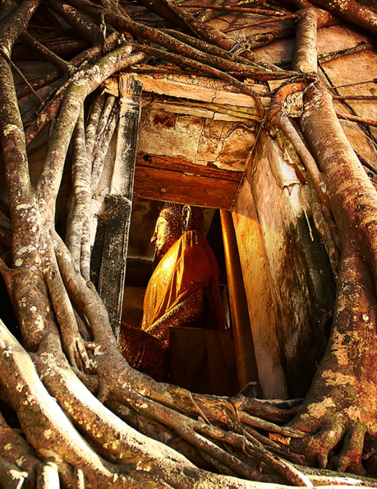 Circuit Thaïlande 12 jours – Immersion & trains de nuit