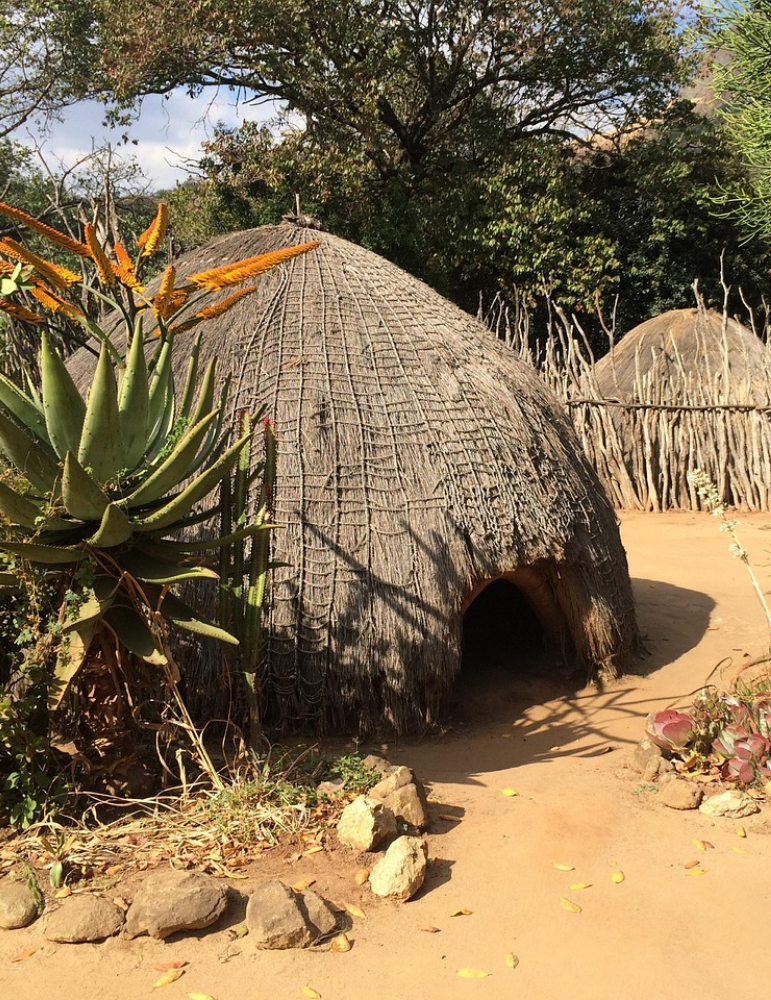 Circuit Afrique du Sud – Safari Kruger & Eswatini