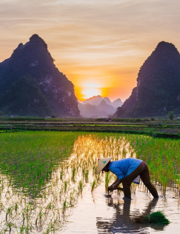 Circuit Vietnam du Nord – Halong, Ninh Binh & montagnes