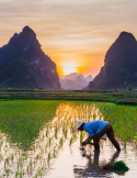 Circuit Vietnam du Nord – Halong, Ninh Binh & montagnes