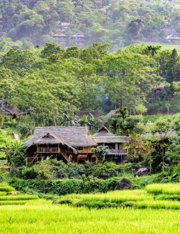 Circuit Vietnam du Nord – Halong, Ninh Binh & montagnes 2