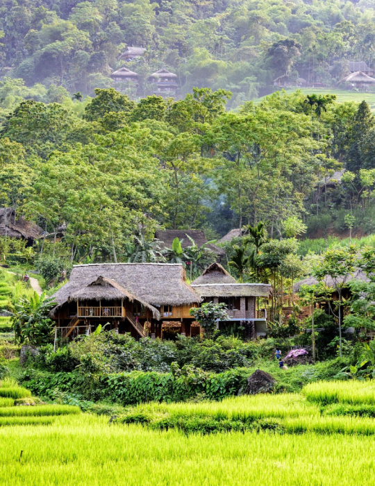 Circuit Vietnam du Nord – Halong, Ninh Binh & montagnes