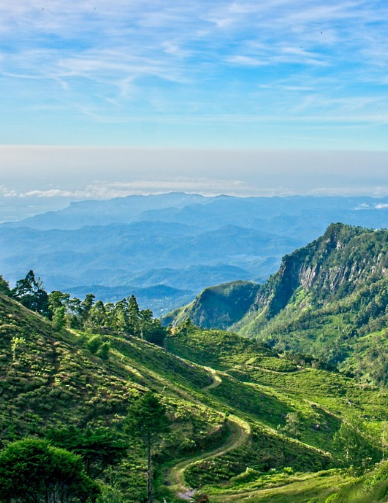 Circuit Sri Lanka 12 jours – Culture, nature & plages