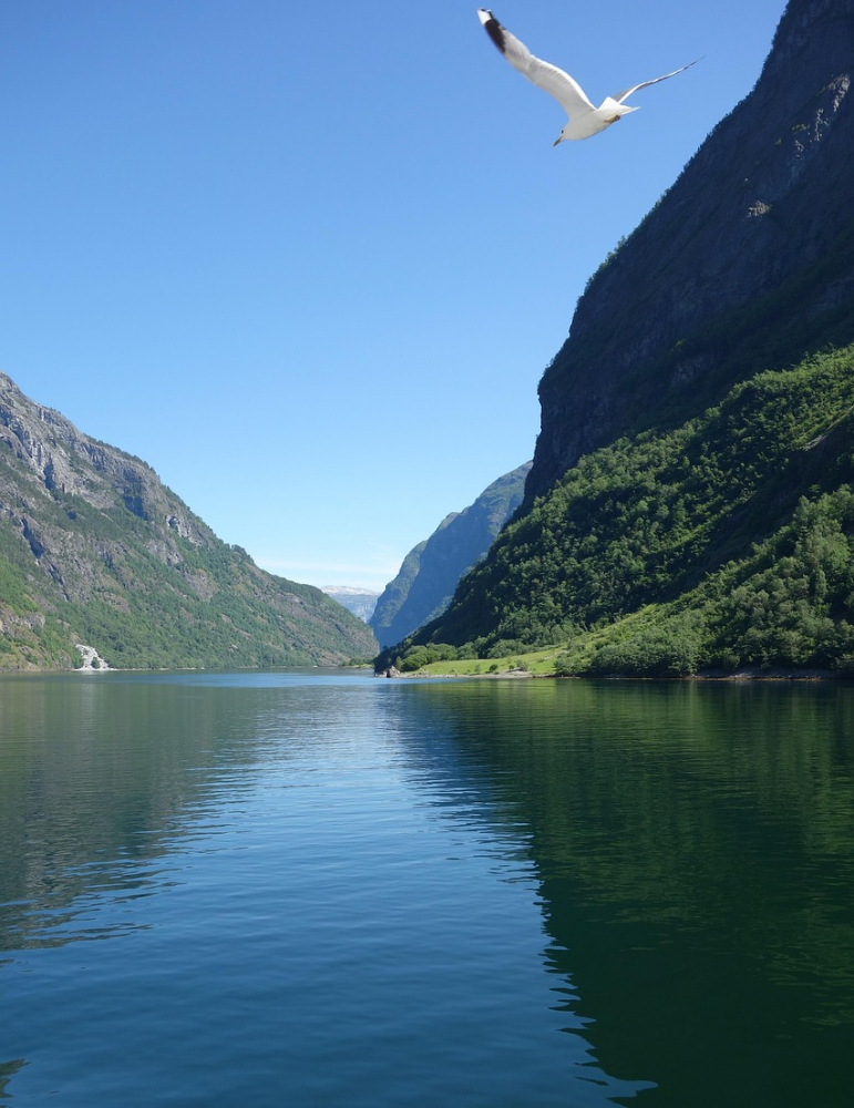 Circuit Norvège – Panorama des fjords en 8 jours