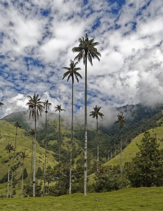Circuit Colombie – Des Andes aux Caraïbes