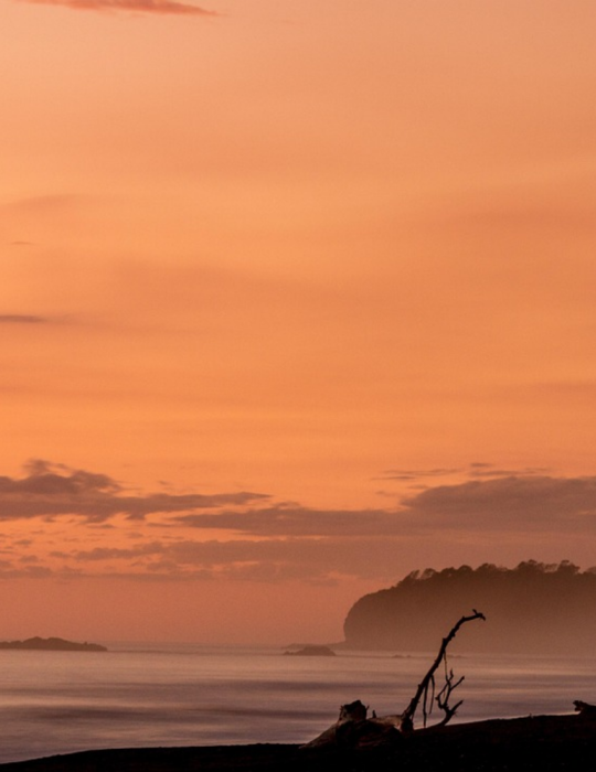 Circuit Costa Rica – Caraïbes et Pacifique