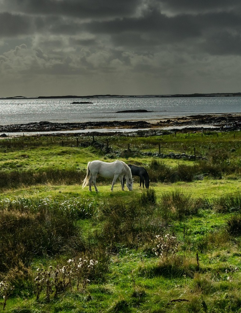 Circuit Irlande – Connemara, Kerry & Falaises de Moher