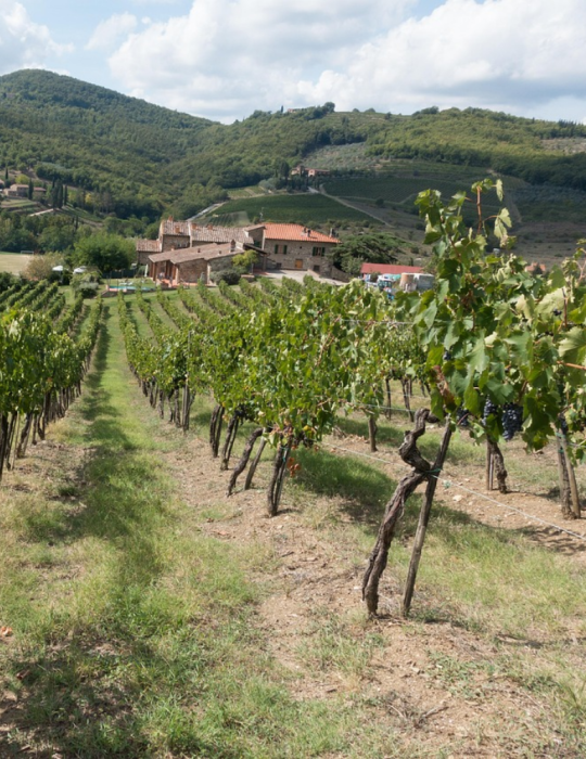 Gênes, Toscane & Cinque Terre – Circuit Autocariste