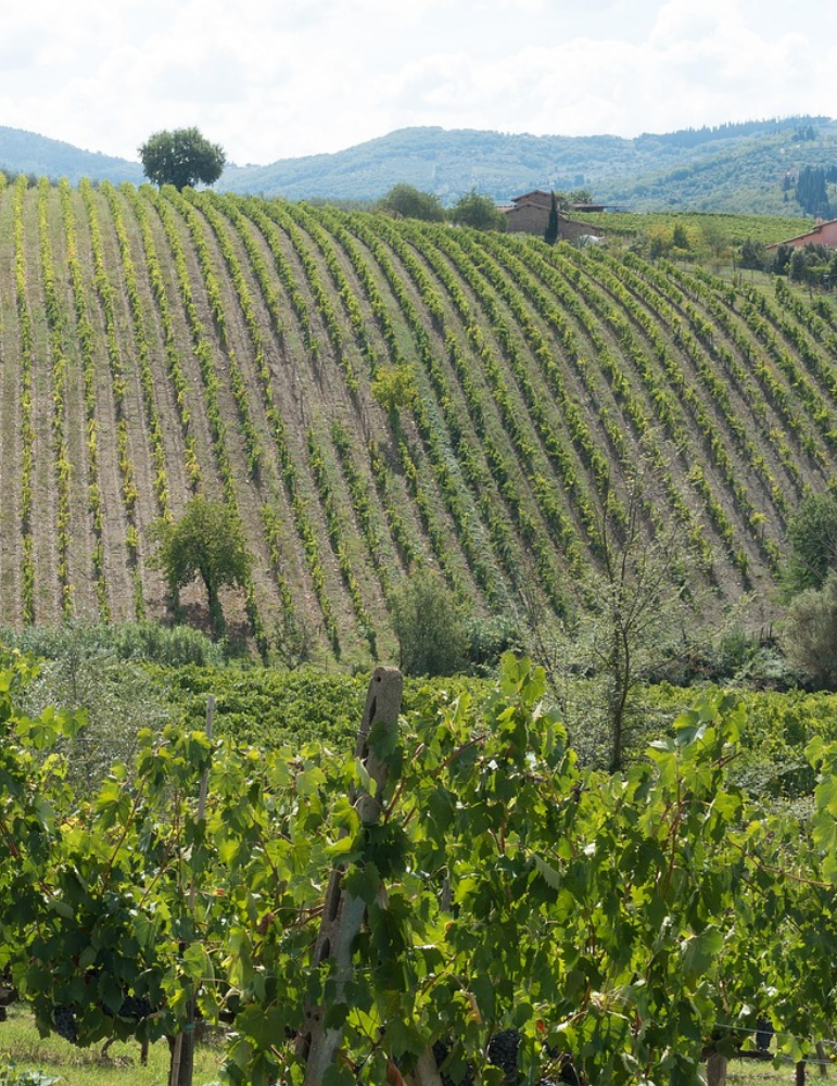 Circuit Toscane & Cinque Terre – Florence à Pise