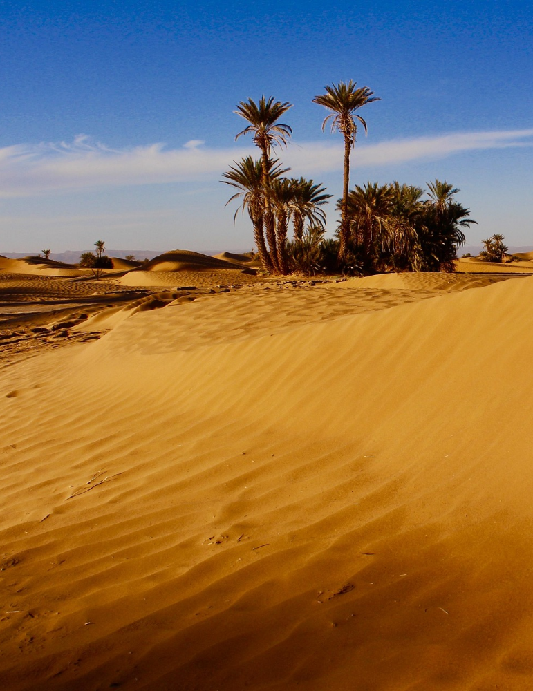 Excursions à Marrakech – Ourika, Essaouira, Agafay