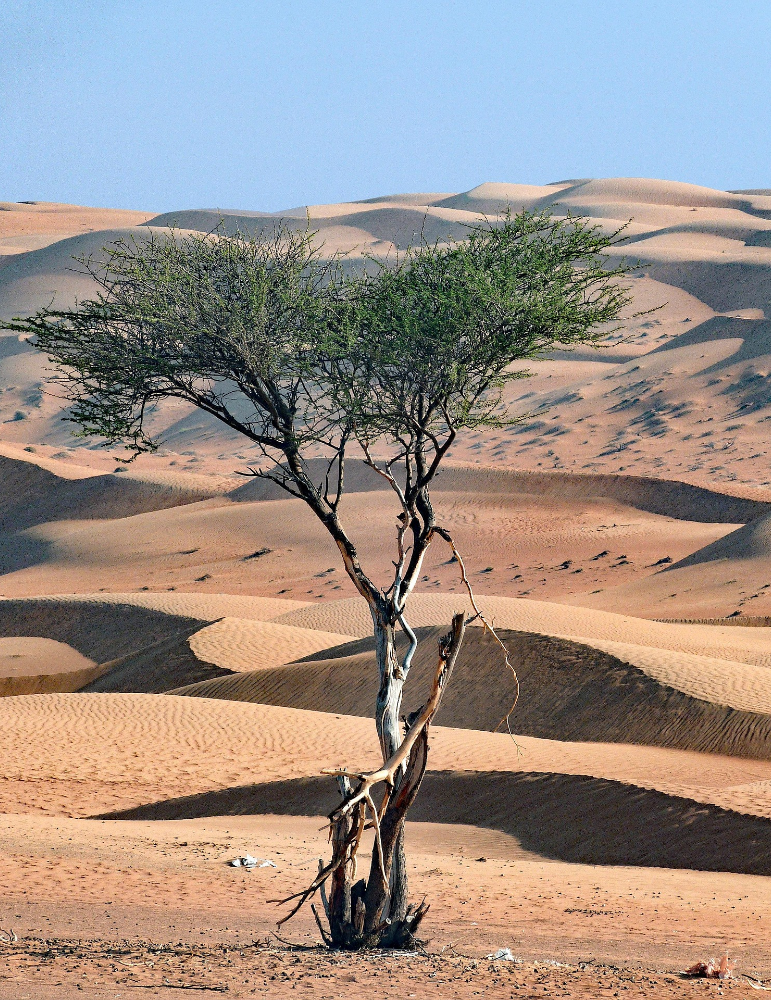 Circuit Oman – Mascate, Nizwa & Désert Wahiba