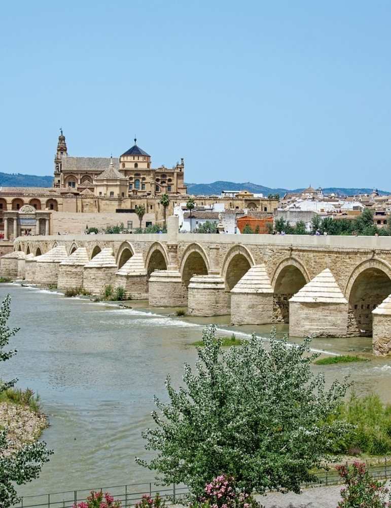 Circuit Andalousie Occidentale – Séville, Cadix & Ronda