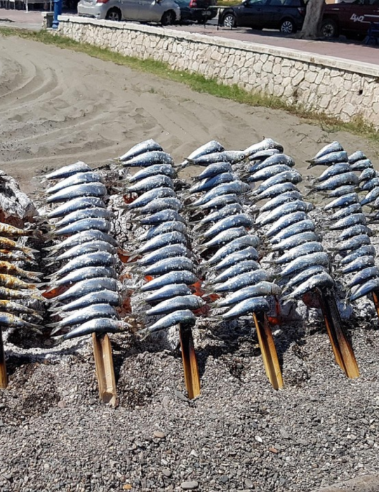 Circuit Andalousie – Costa Tropical & Grenade
