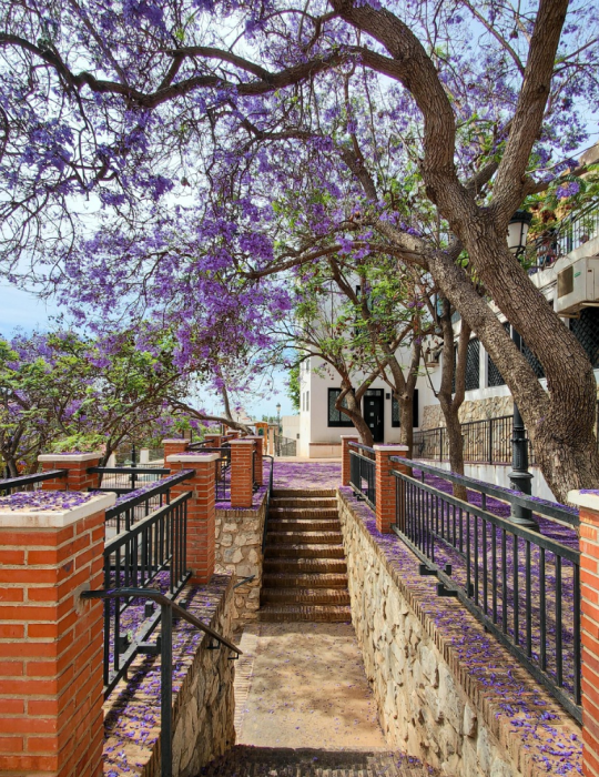 Circuit Andalousie – Costa Tropical & Grenade