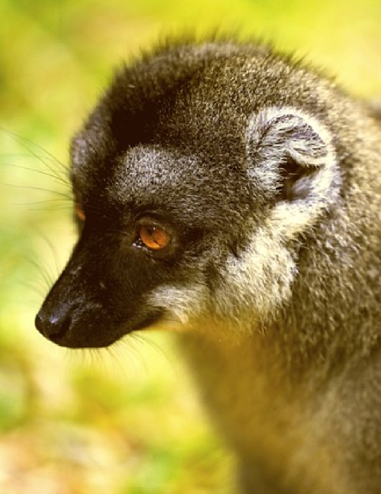 Circuit Madagascar – Hauts-Plateaux & Lacs Volcaniques