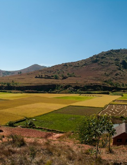 Circuit Madagascar – Hauts-Plateaux & Lacs Volcaniques