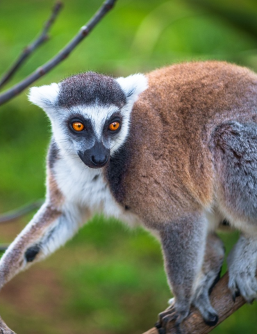 Circuit Nord Madagascar – Diego Suarez & Nosy Be 2