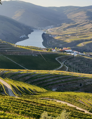 Circuit Portugal authentique 8 jours – Porto, Douro et Lisbonne 2
