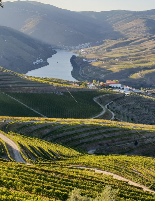 Circuit Portugal authentique 8 jours – Porto, Douro et Lisbonne