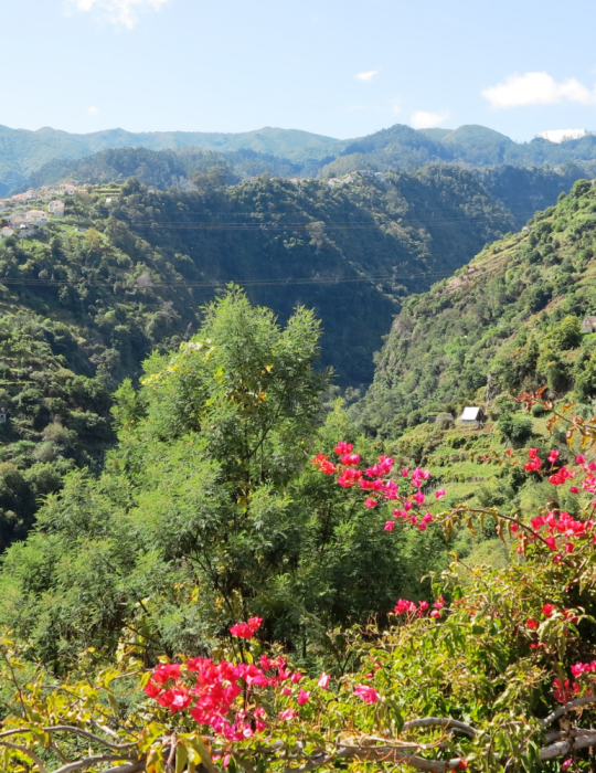 Trekking Madère 8 jours – Randonnées levadas et nature