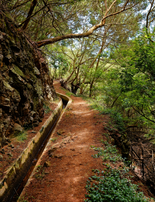 Trekking Madère 8 jours – Randonnées levadas et nature