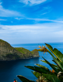 Séjour Madère 8 jours – Funchal, levadas et panoramas