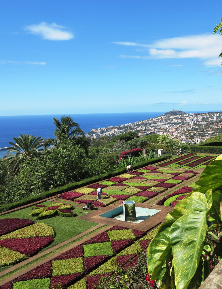 Séjour Madère 8 jours – Funchal, levadas et panoramas