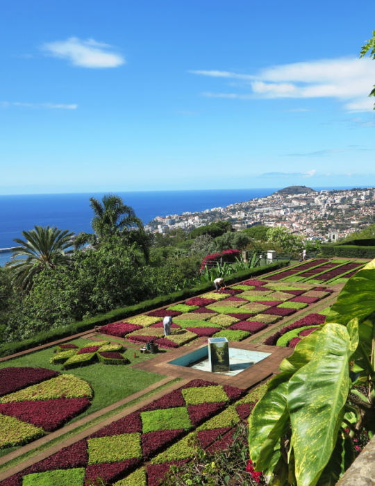 Séjour Madère 8 jours – Funchal, levadas et panoramas