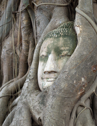Circuit Thaïlande 10 jours – Bangkok, Nord & séjour plage 2