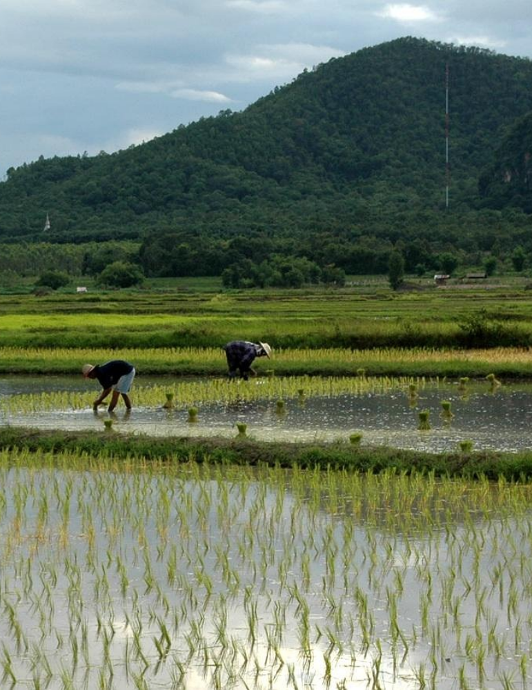 Circuit Thaïlande responsable 12 jours – immersion locale & nature