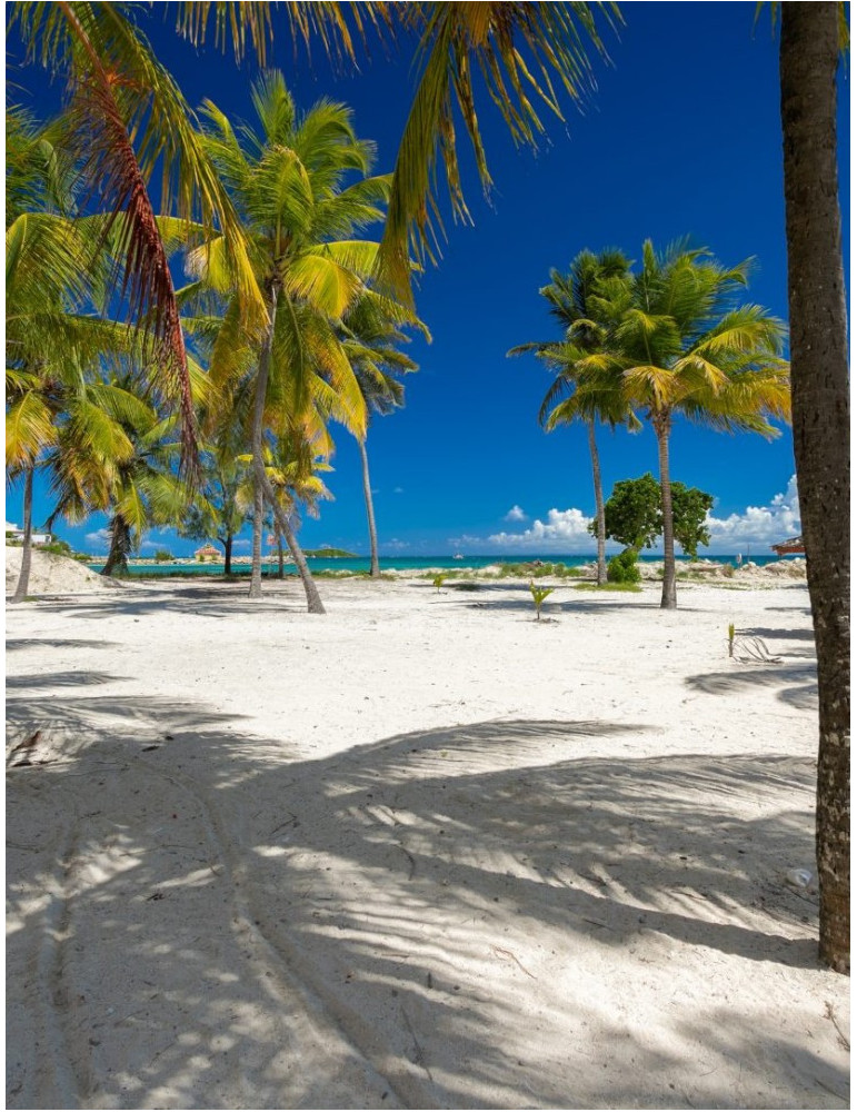 Séjour GUADELOUPE - Résidence Zénitude -  Clipper /  Salako /  Prao