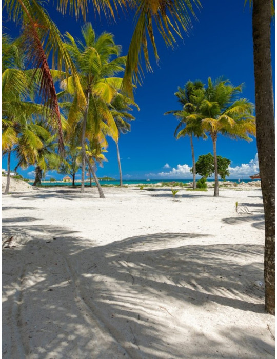 Séjour GUADELOUPE - Résidence Zénitude -  Clipper /  Salako /  Prao