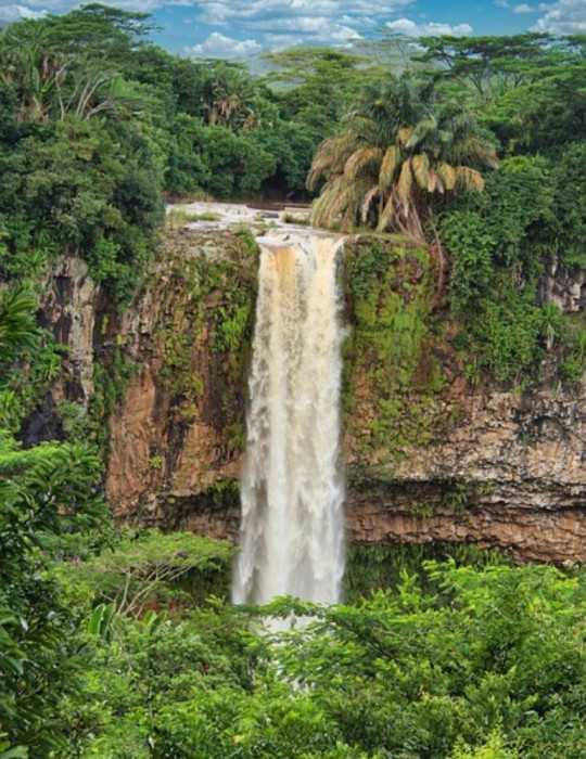 Excursions Île Maurice – Port-Louis, Chamarel, Catamaran & Thé