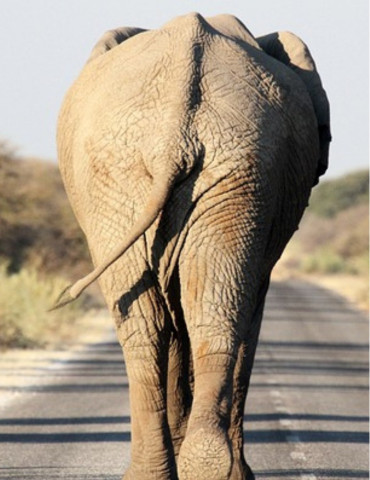 Circuit Namibie 12 jours – Safaris Etosha, Swakopmund & Sossusvlei 2