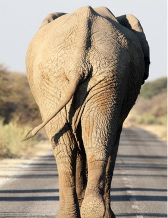 Circuit Namibie 12 jours – Safaris Etosha, Swakopmund & Sossusvlei