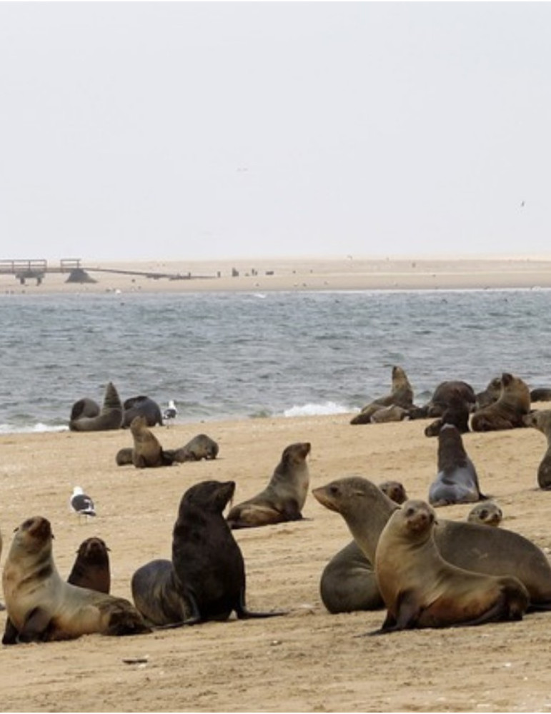 Circuit Namibie 12 jours – Safaris Etosha, Swakopmund & Sossusvlei