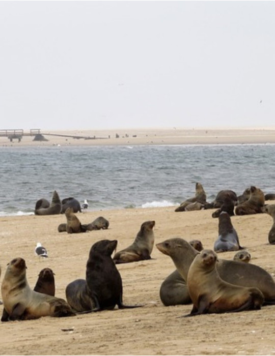 Circuit Namibie 12 jours – Safaris Etosha, Swakopmund & Sossusvlei