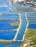 Circuit Andalousie Occidentale – Séville, Cadix & Ronda