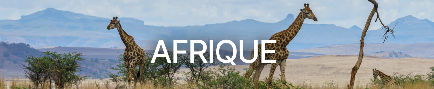 Voyages en Afrique | Safaris, déserts & circuits authentiques