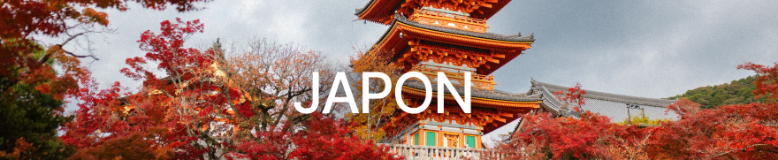 Voyage Japon | Tokyo, Kyoto & Osaka