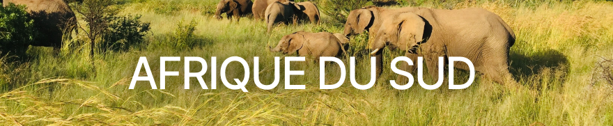 Voyage Afrique du Sud | Circuits, safaris & Cape Town