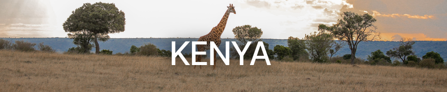 Voyage Kenya | Safaris & grands espaces