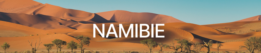 Voyage Namibie | Déserts, safaris & paysages sauvages