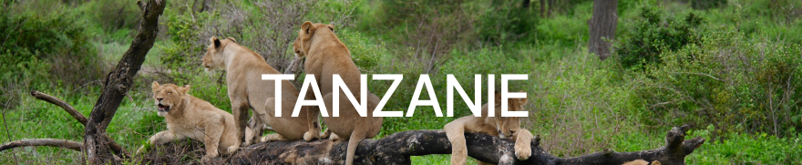 Voyage Tanzanie | Safaris & Zanzibar