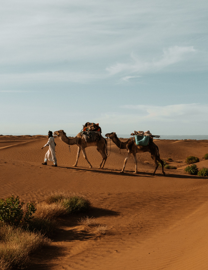 Afrique