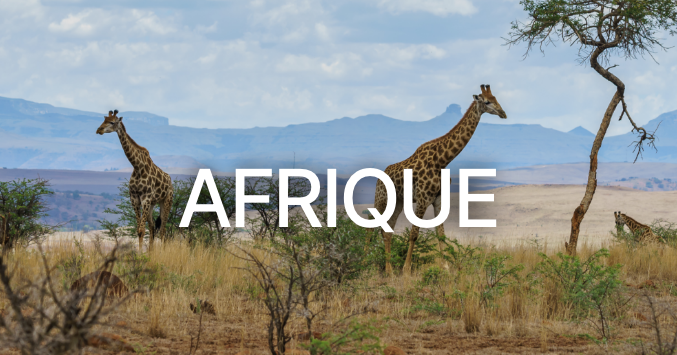 Destination Afrique