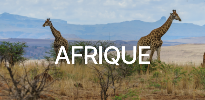 Afrique